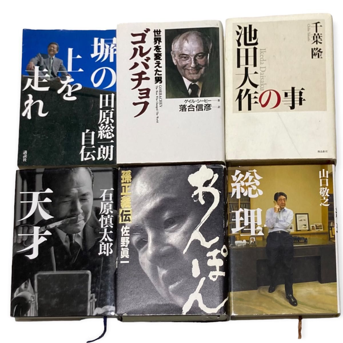 小説 19冊セット オールジャンル 自伝 政治 経済 哲学書 プーチン 安倍総理