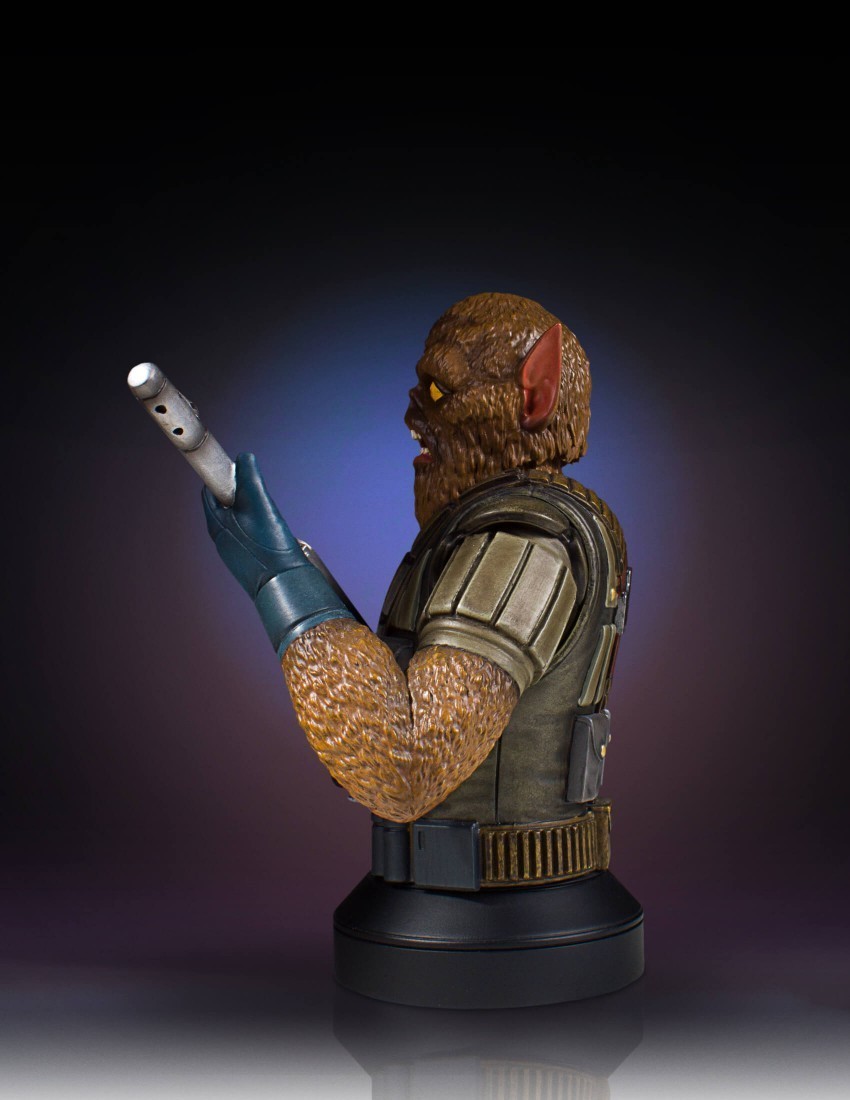 ★GENTLE GIANT★2016 SDCC EXCLUSIVE★McQUARRIE CONCEPT★CHEWBACCA★COLLECTBLE MINI BUST★ _画像4