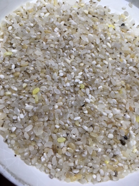 最大68%OFFクーポン くず米 1.6kg エサ米 玄米