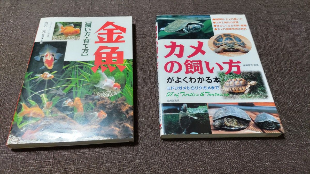 【情操教育】水槽用具など色々セット ペット 金魚 カメ どじょう等 飼育 熱帯魚 一式 夏休み 金魚すくい 環境問題 癒し 飼育本