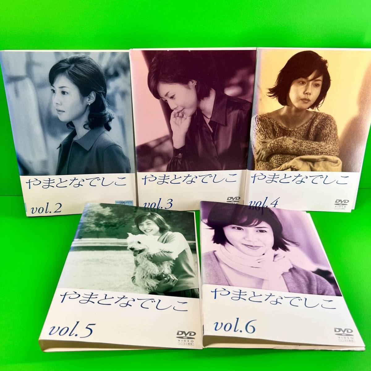 やまとなでしこ ＤＶＤ－ＢＯＸ／松嶋菜々子,堤真一,矢田亜希子,筧利夫