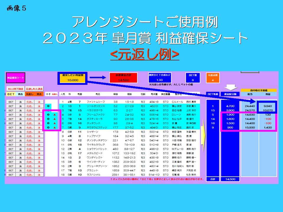 ☆投資競馬が今解き明かされる！ FANALオッズハッキング 的中率７０％を叩き出す！役立つ付録付！ オリジナルソフト 副業 サポート 初心者_画像5