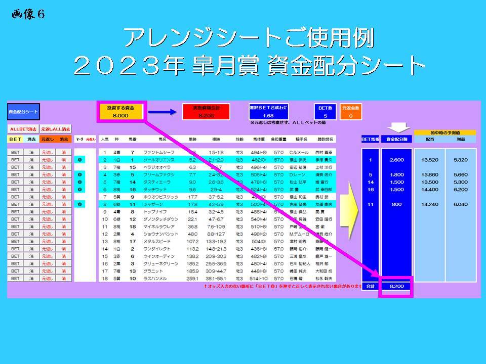 ☆投資競馬が今解き明かされる！ FANALオッズハッキング 的中率７０％を叩き出す！役立つ付録付！ オリジナルソフト 副業 サポート 初心者_画像6