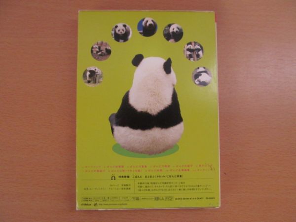 (42676)ぱんだ de まふまふ 特典映像付き DVD フォトブック付き 中国四川省のぱんだちゃん USEDの画像2