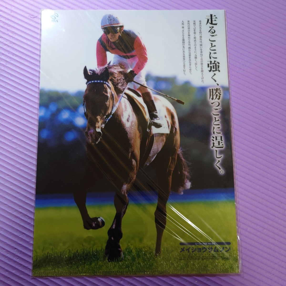 Yahoo!オークション - 【JRA ヒーロー列伝クリアファイル Yahoo!オークション - 【JRA ヒーロー列伝クリアファイル