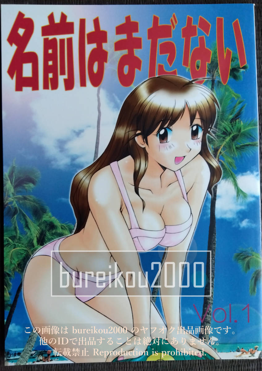 ◎90年代の同人誌 『名前はまだない』 トゥルー・ラブストーリー　ヴァンパイアハンター　ヴァリアブル・ジオ　天海たかし　レトロゲーム_画像1