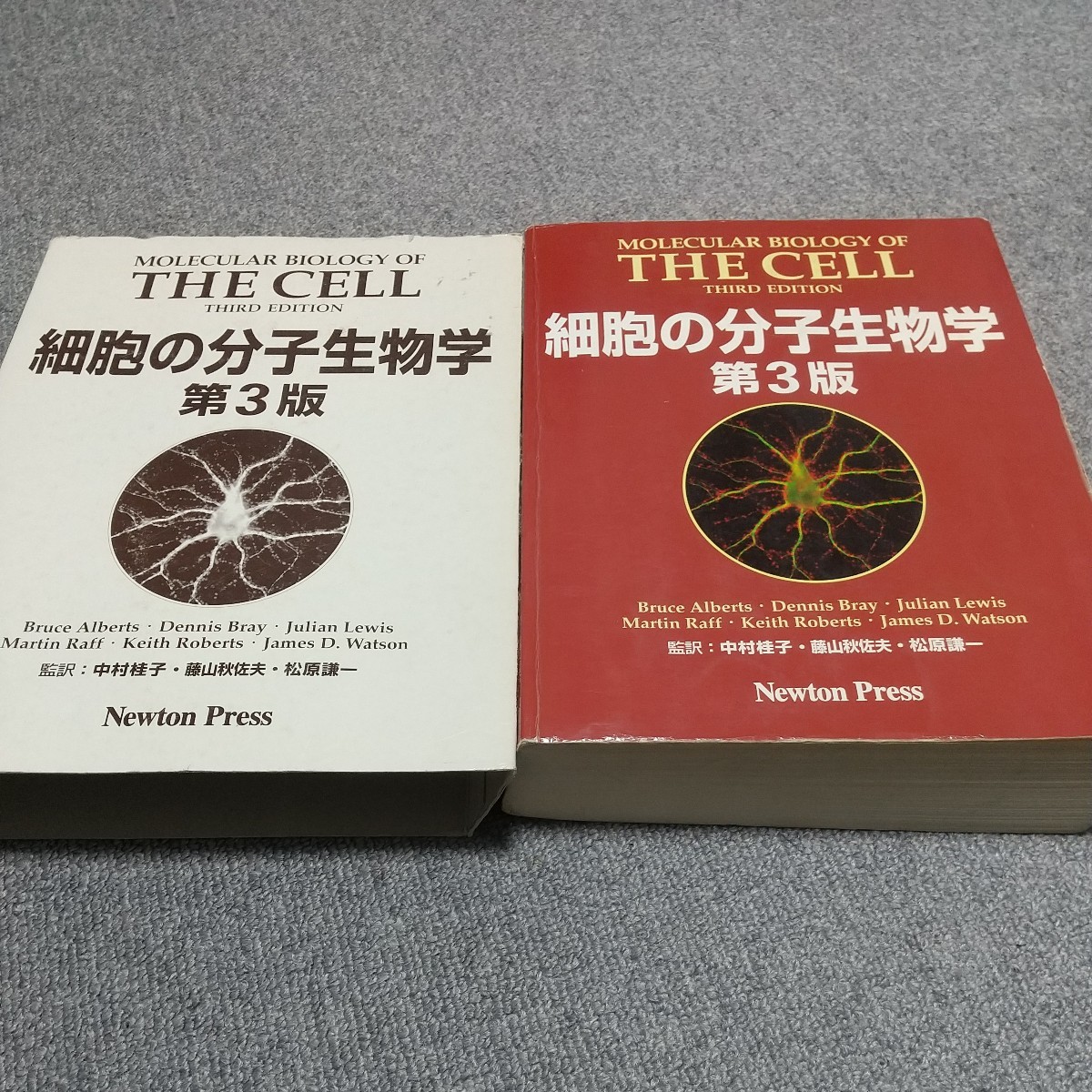 THE CELL　細胞の分子生物学　第3版　Newton Press 日本語版　定価2万円　生物学　自然科学　教科書　テキスト　中古_画像1