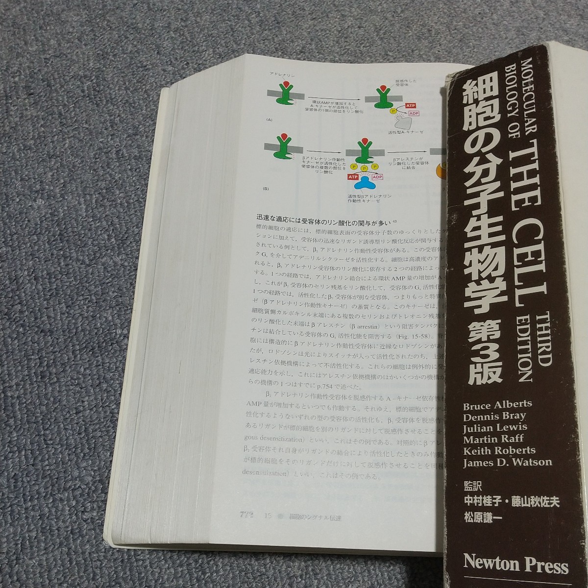 THE CELL　細胞の分子生物学　第3版　Newton Press 日本語版　定価2万円　生物学　自然科学　教科書　テキスト　中古_画像10