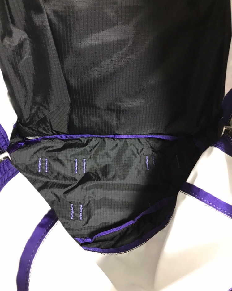 世界20個限定】超レア キャンペーン当選品 グレゴリー GREGORY 世界20個限定】超レア キャンペーン当選品 グレゴリー GREGORY