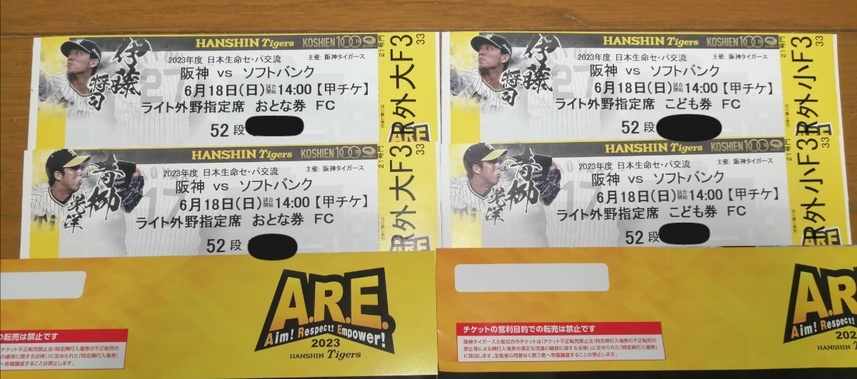 6/18( day ) Hanshin Tigers vs SoftBank alternating current war Koshien ticket light out . designation seat ...2 sheets ...2 sheets total 4 pieces set 