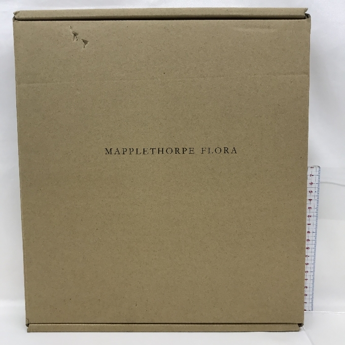 洋書　Mapplethorpe Flora: The Complete Flowers Phaidon Press Holborn, Mark_画像1