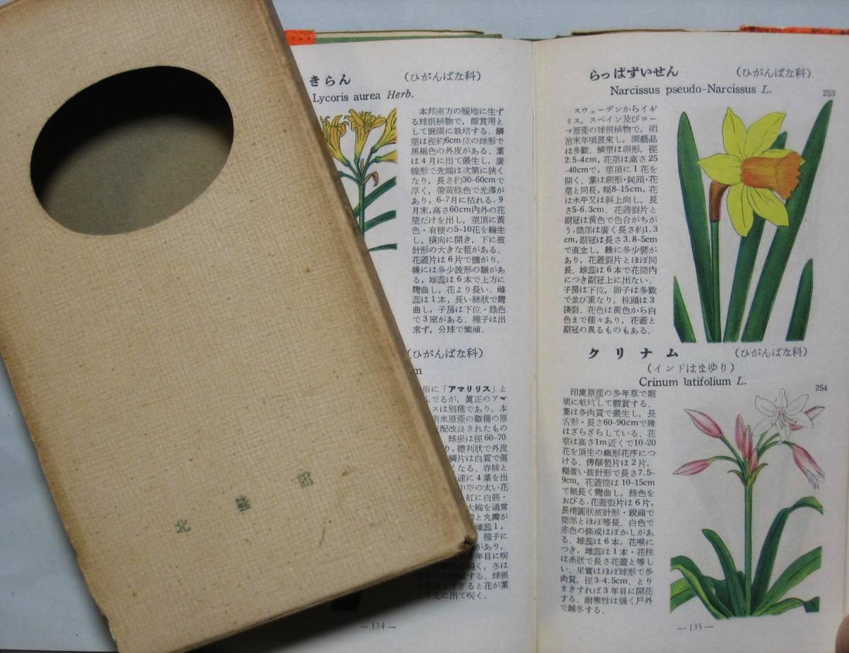 ... Taro [ student version . color plant illustrated reference book [ gardening plant .]]potanikaru. cloth number no. 7158 number north . pavilion . with cover Showa era 30 year (1955 year )