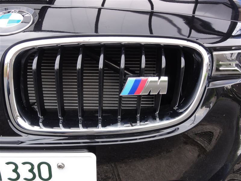 * popular BMW M chrome grill emblem white ash black /E46/E60/E61/E70/E71/E65/E66/E83/E82/E87/E89/E90/E91/E92/E93/1M/M2/M3/M5/M6/Z4/Z8/G30