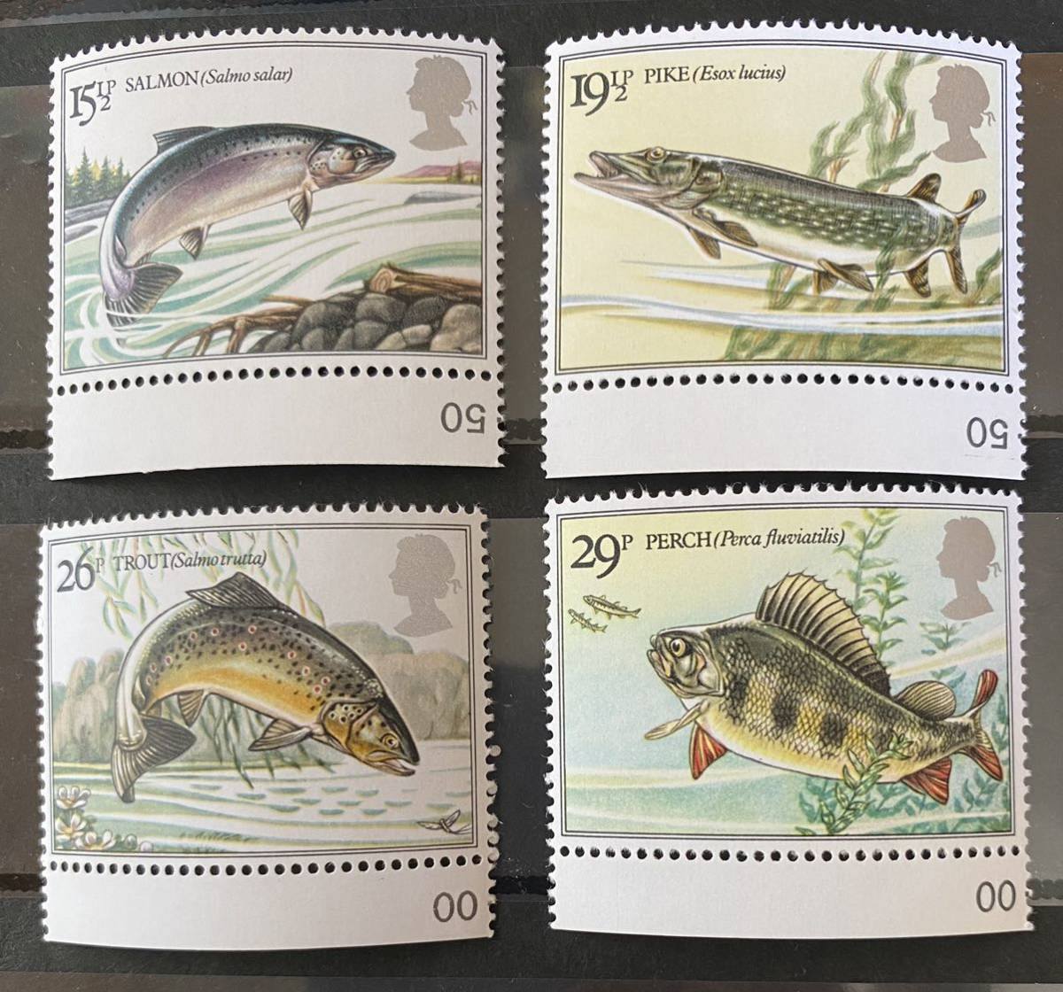  England stamp river fish 4 kind * Atlantic salmon.no- The n pie k, Brown trout, Suzuki 1983 year unused F5