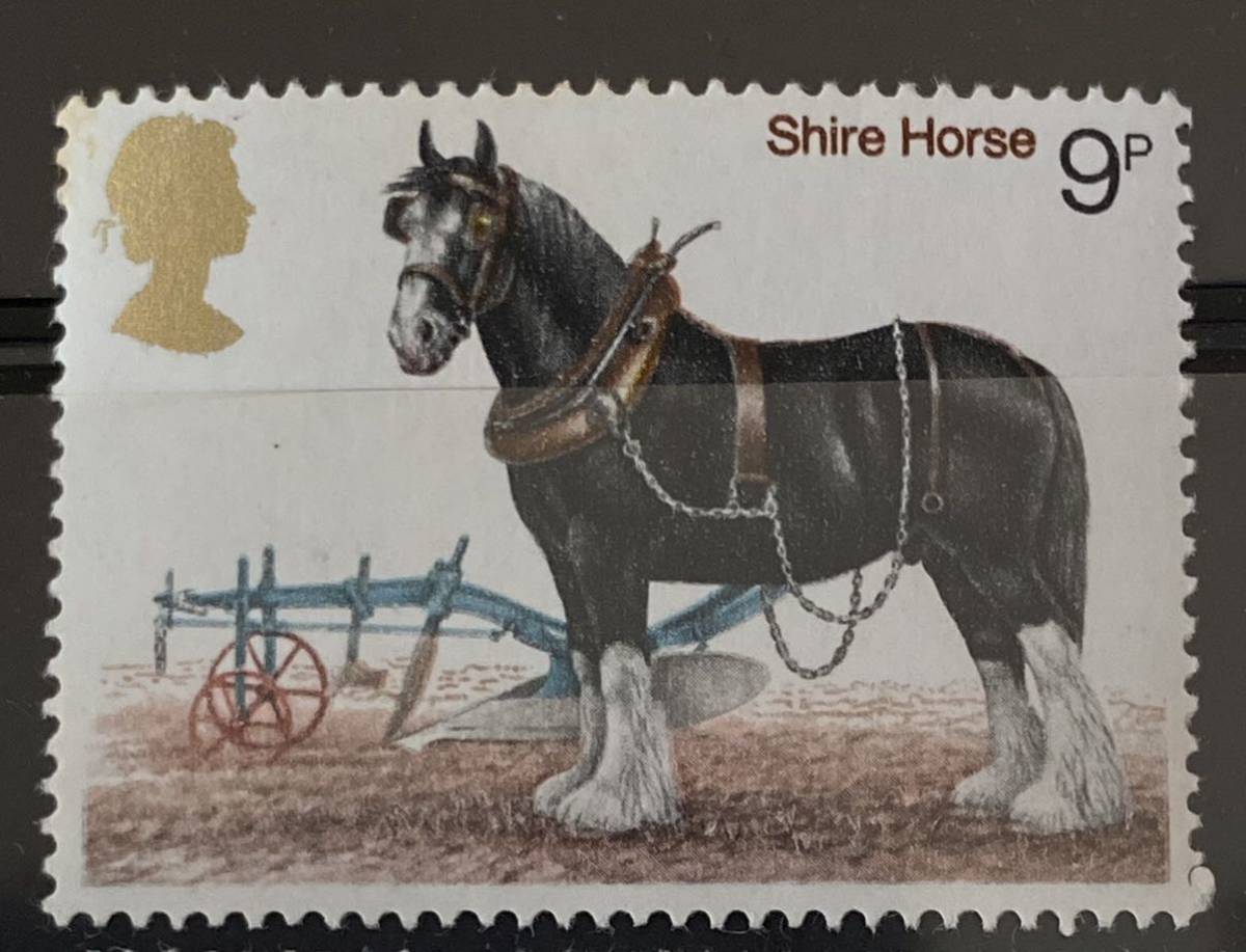  England stamp horse * car ia hose,sheto Land po knee,ma- Lynn * Kim Ray g* way ruz*po knee, Sara bread 1978 year unused F5