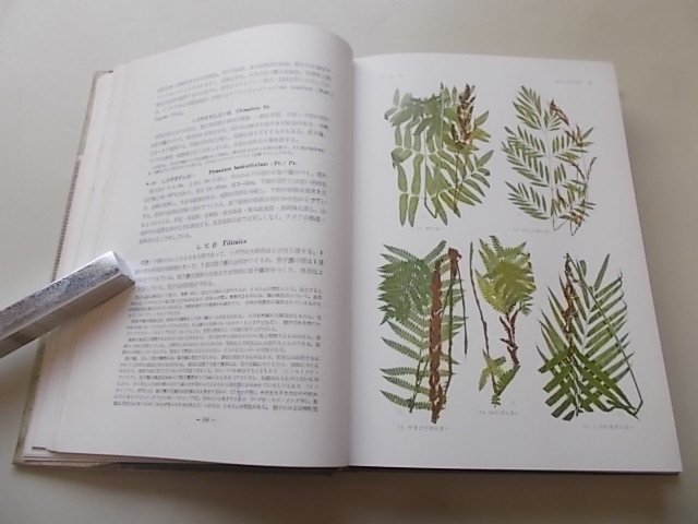 . color Japan . tooth plant illustrated reference book rice field river basis two ( work ) Showa era 42 year 