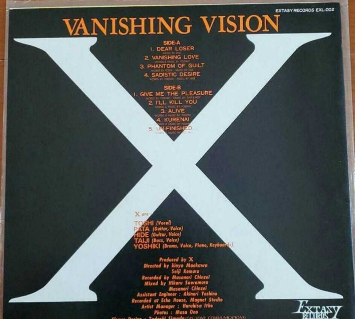 月末値下げ】VANISHING VISION ピクチャーレコード-