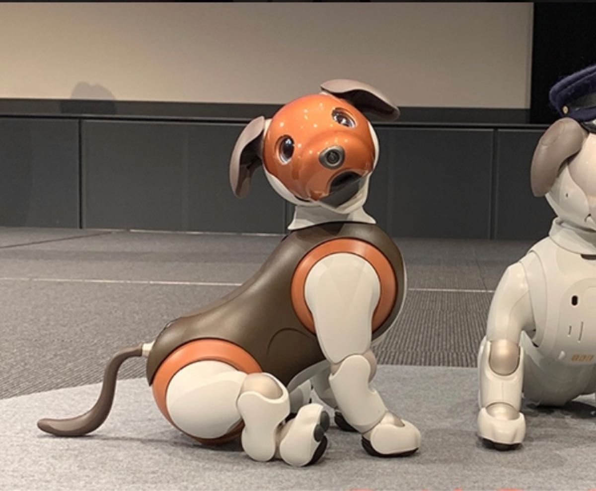 SONY アイボ ERS-1000 チョコエディション 限定モデル