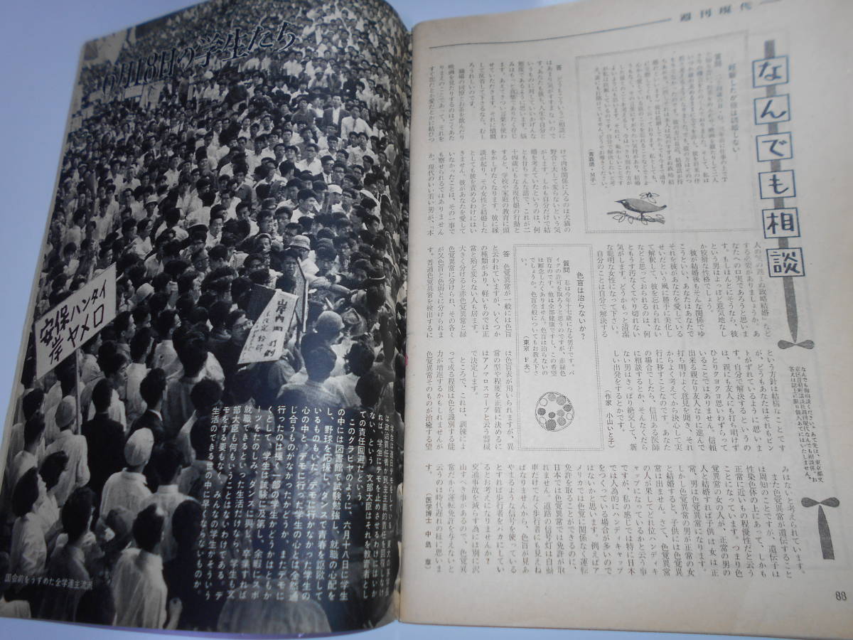 週刊現代 昭和35年1960年7 10 女をだます 歌舞伎 市川団十郎 全浪連 売春防止法 安保闘争_画像5