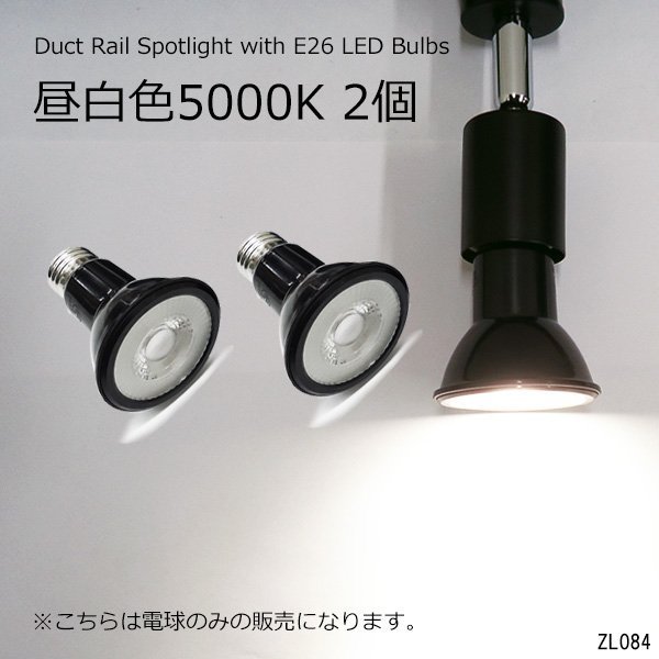 ダクトレール用 スポットライト 2個セット 黒 5000K 昼白色 E26 交換 電球 送料無料/20_画像1
