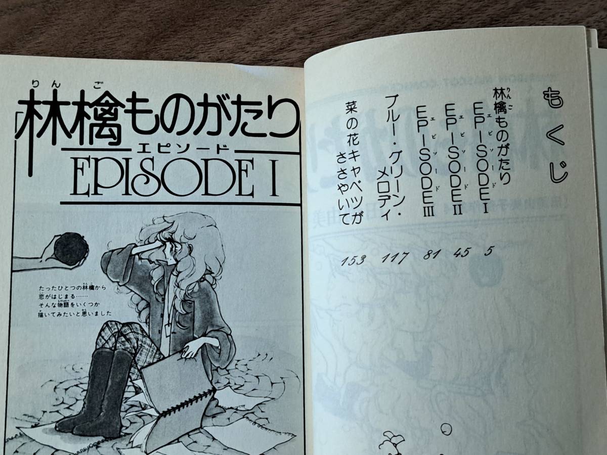 ★雪やこんこん/クロッカス咲いたら/フランス窓便り/林檎ものがたり/夏からの手紙★田渕由美子傑作集全5冊+あのころの風景★計6冊一括の画像5