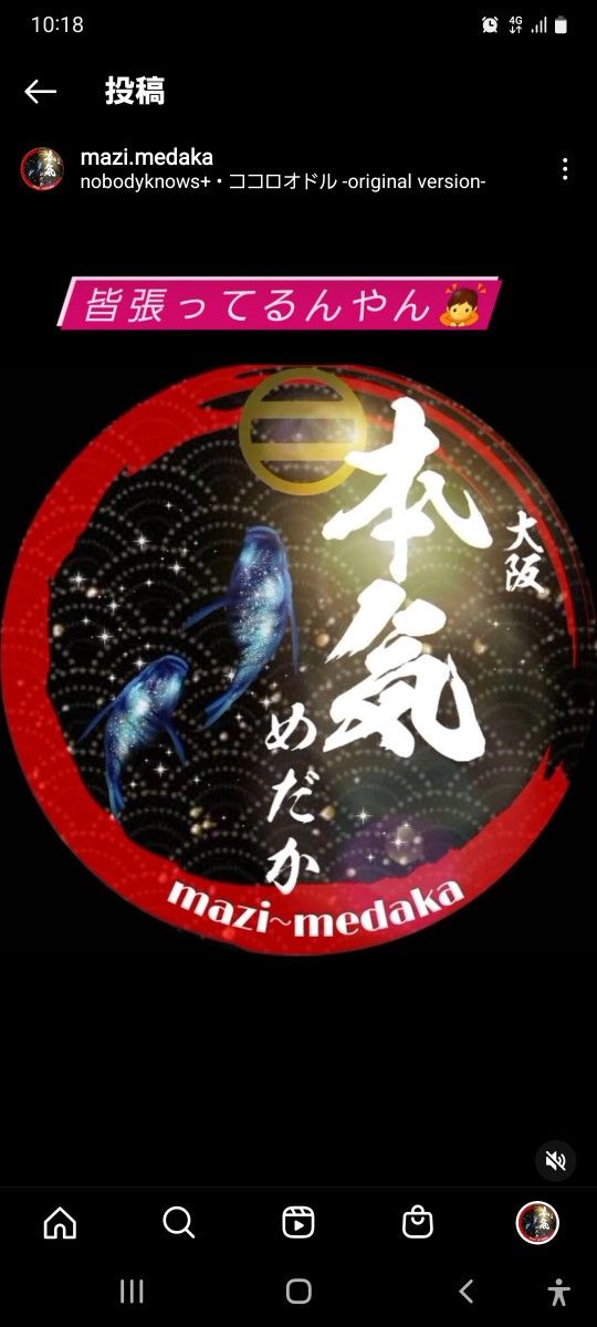 ★.mazi.medaka★　光合成細菌　PSB　１㍑+エビオス錠剤10粒+originalステッカー  