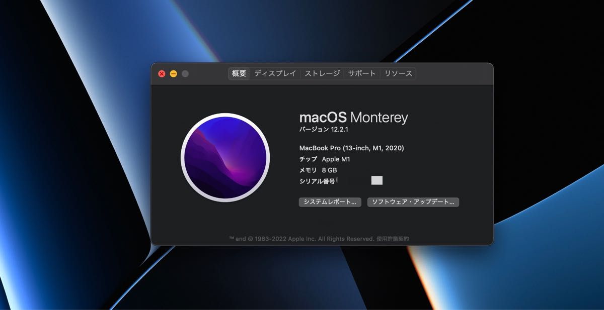 MacBookPro M1 13-Inch 8GB(RAM) 256GB(SSD) | robertmcmillanpottery.com