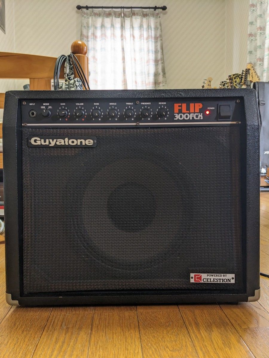 Guyatone FLIP300FCX 真空管アンプ | www.mclegal.info