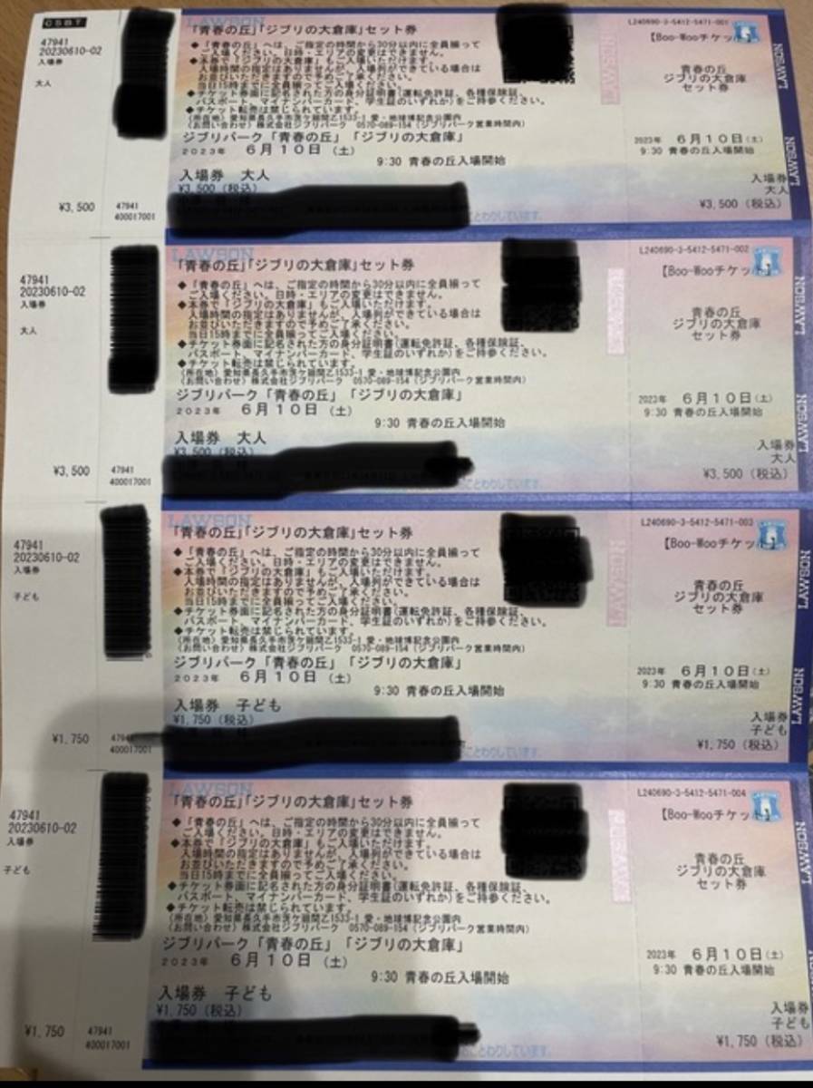 最大55%OFFクーポン定価ジブリパークチケット 大3枚小1枚 大倉庫×青春