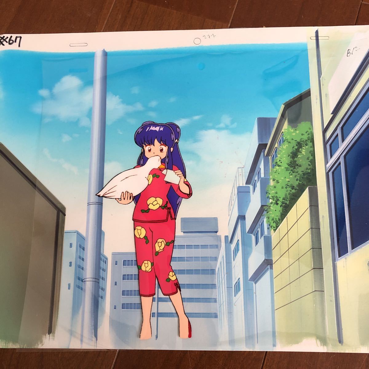 らんま1/2 シャンプー セル画 | esspl.com.pk