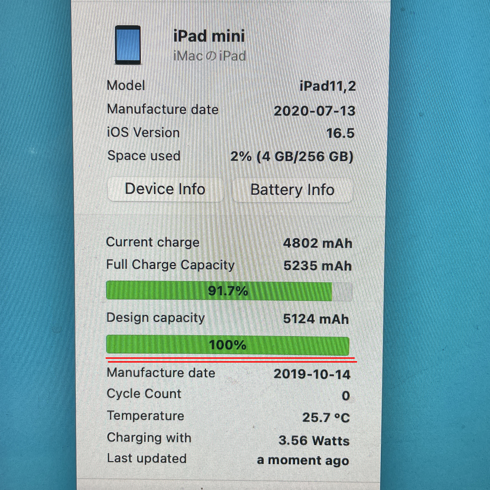 1円スタート iPad mini 5 Wi-Fi+Cellular 256GB SIMフリー 第5世代 第五世代 新品バッテリー交換済100% スペースグレイ グレー セルラーの画像8