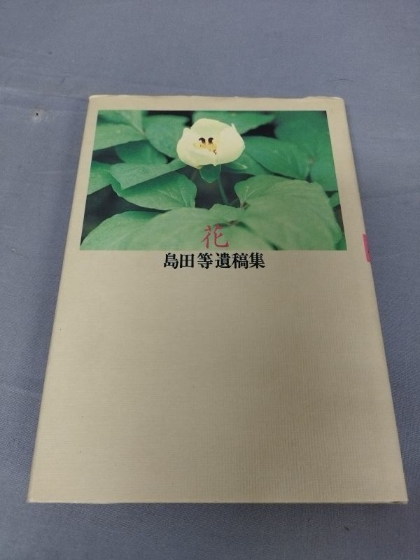 [ island rice field etc. .. compilation flower ]/ hand ../1996 year /Y5614/nm*23_5/32-01-1A