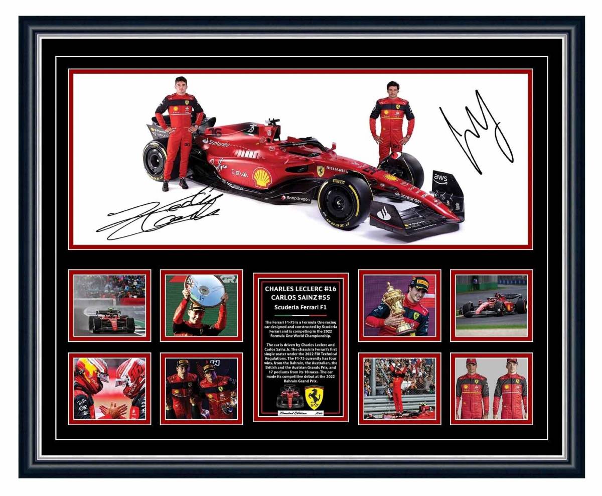 非売品】2022 アルピーヌF1チーム 支給品 セットアップ・Tシャツ 非売品】2022 アルピーヌF1チーム 支給品 セットアップ・Tシャツ