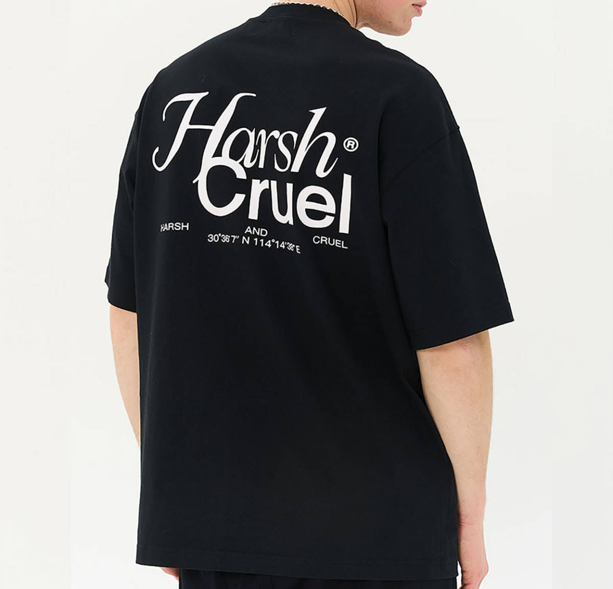 【 HARSH AND CRUEL 】 ハーシュアンドクルーエル 正規品 ユニセックス ビッグサイズ バックプリント Tシャツ ブラック L_画像5