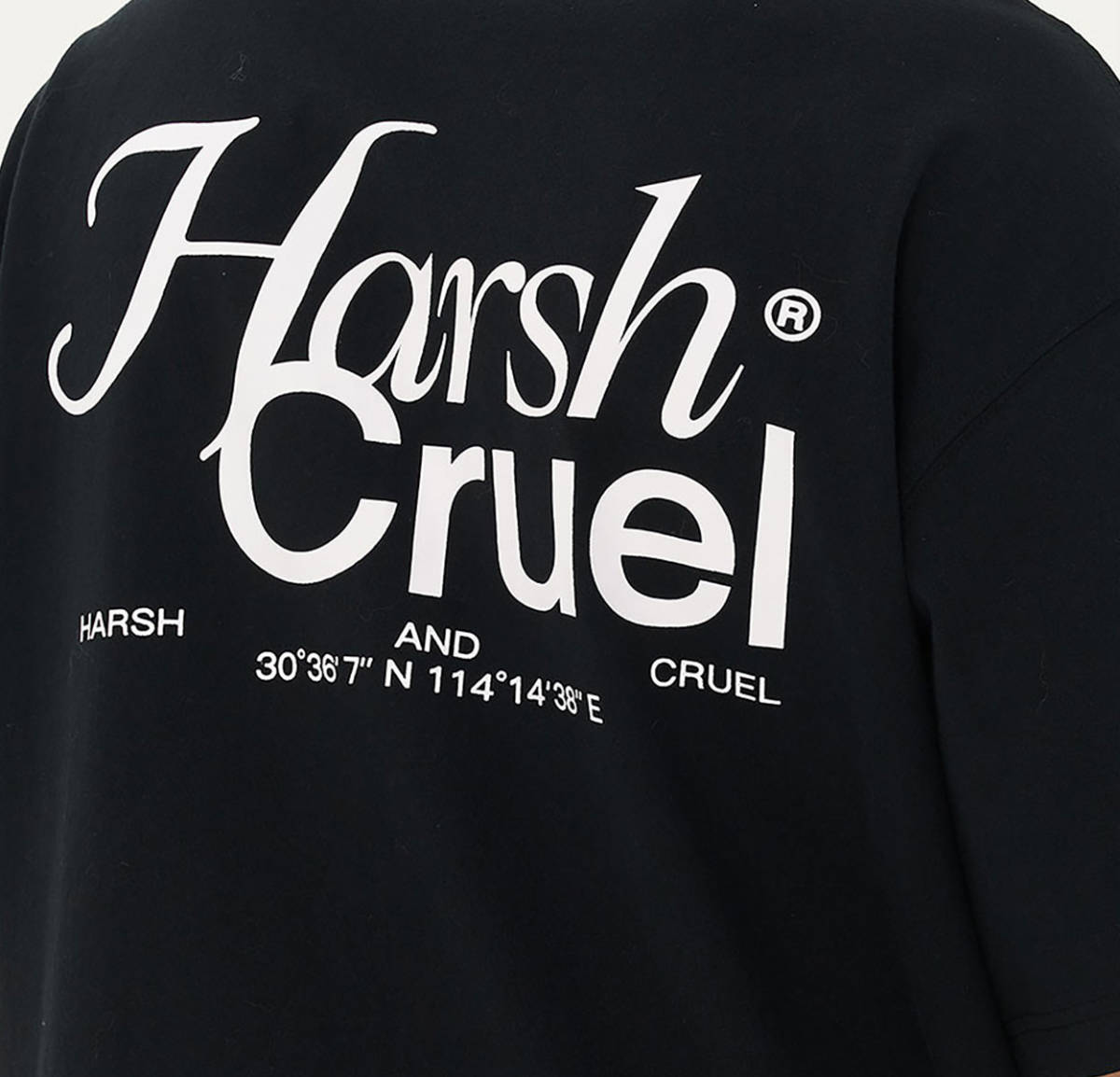【 HARSH AND CRUEL 】 ハーシュアンドクルーエル 正規品 ユニセックス ビッグサイズ バックプリント Tシャツ ブラック L_画像7