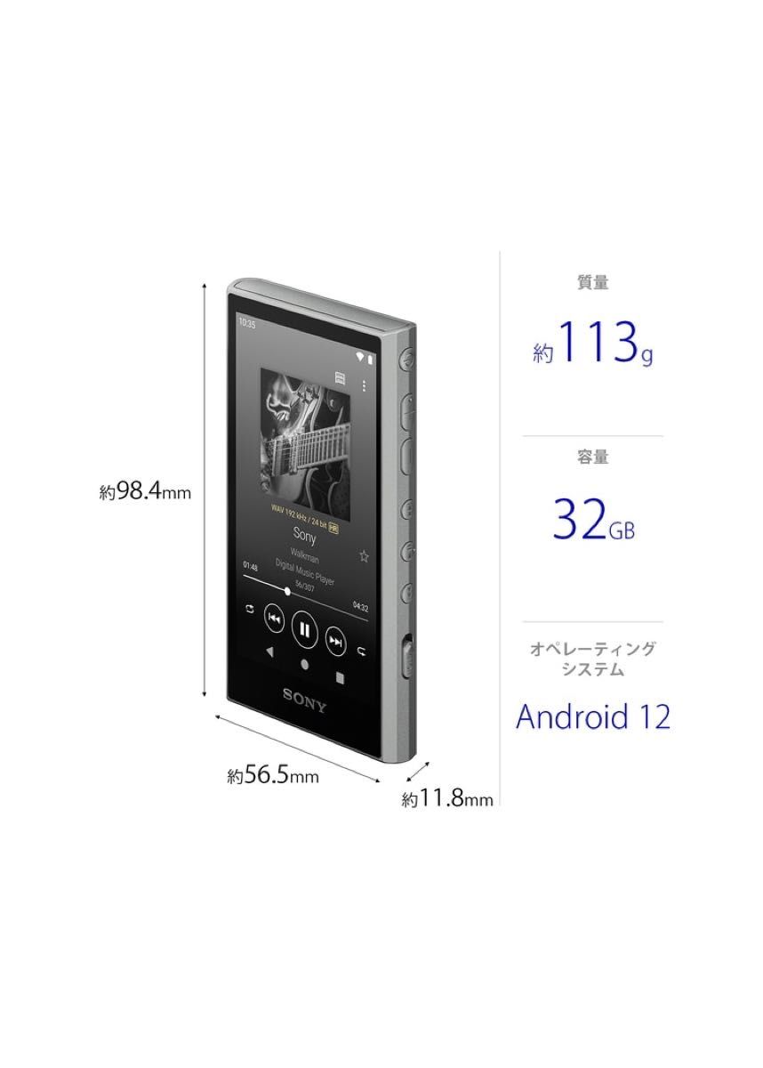 値下げ不可 SONY NW-A306 H A300シリーズ 32GB ケース フィルム 256GB