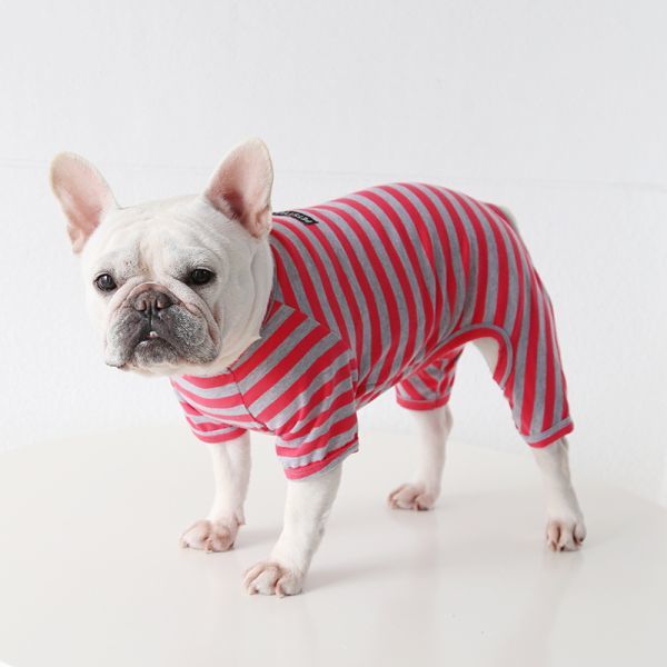 M~XXL size *[ several sheets. buy possible ][ after the bidding successfully, color / size designation possible ] dog clothes for medium-size dog rompers border coveralls new goods f Rebel coverall 