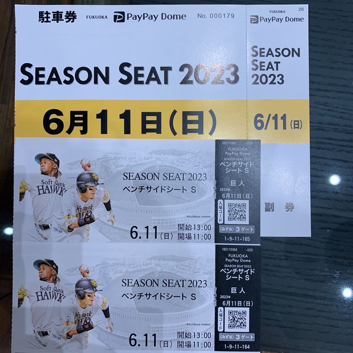 ソフトバンクホークス 巨人 PayPayドーム チケット 2枚セット 駐車券付き 6月11日