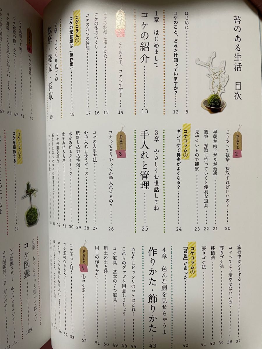 苔のある生活　苔の種類　作り方　飾り方　盆栽　苔玉