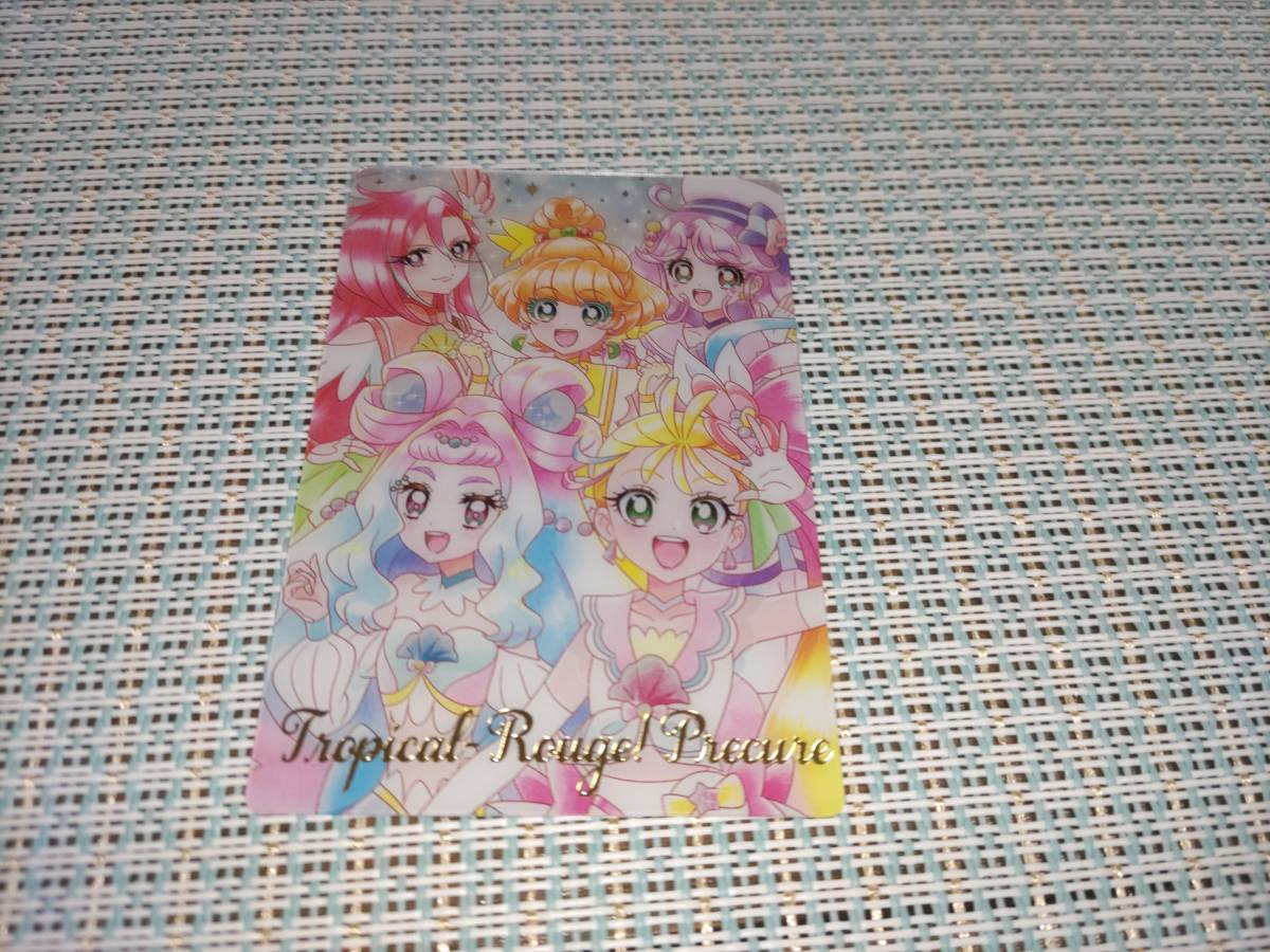a】開封済み 即決 プリキュア ウエハース カード 3弾 SSR 25