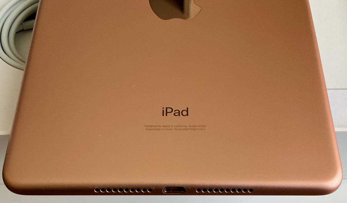 第5世代 iPad mini 5 256GB Wi-Fi + Cellular アップルストア購入品