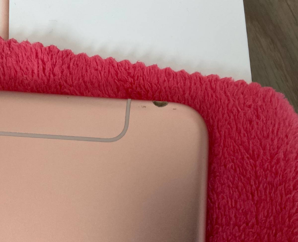 第5世代 iPad mini 5 256GB Wi-Fi + Cellular アップルストア購入品