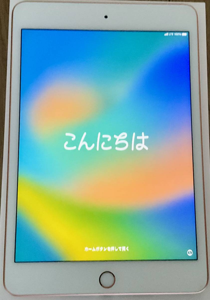 第5世代 iPad mini 5 256GB Wi-Fi + Cellular アップルストア購入品