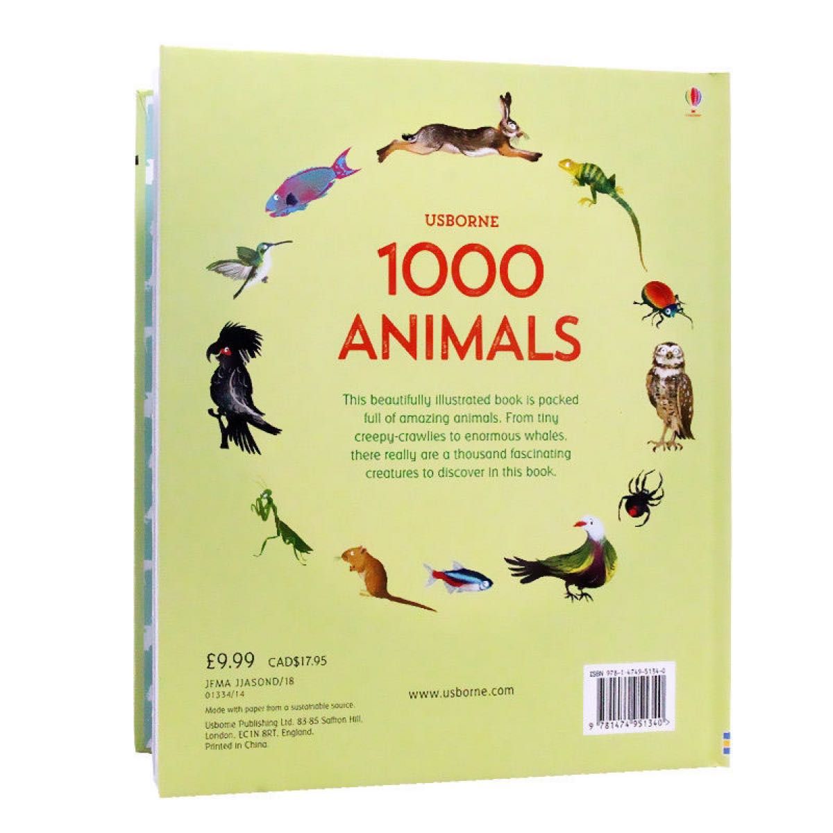 【正規輸入品】Usborne 1000 things animals  洋書 英語絵本 英語勉強 