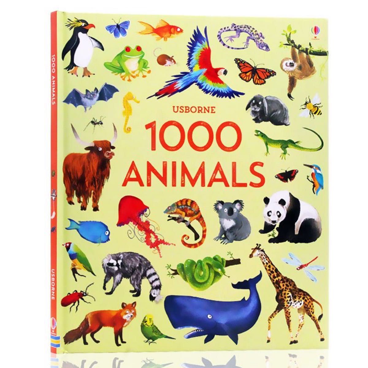 【正規輸入品】Usborne 1000 things animals  洋書 英語絵本 英語勉強 