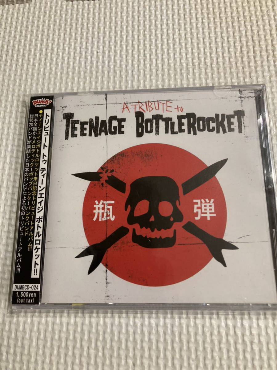 VA 「A Tribute To Teenage Bottlerocket 」punk pop melodic wimpys japanese yellow gang メロコア　ramones トリビュート　rock_画像1