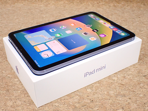 美品】SIMフリー docomo iPad mini 6 第6世代 Wi-Fi+Cellular 256GB