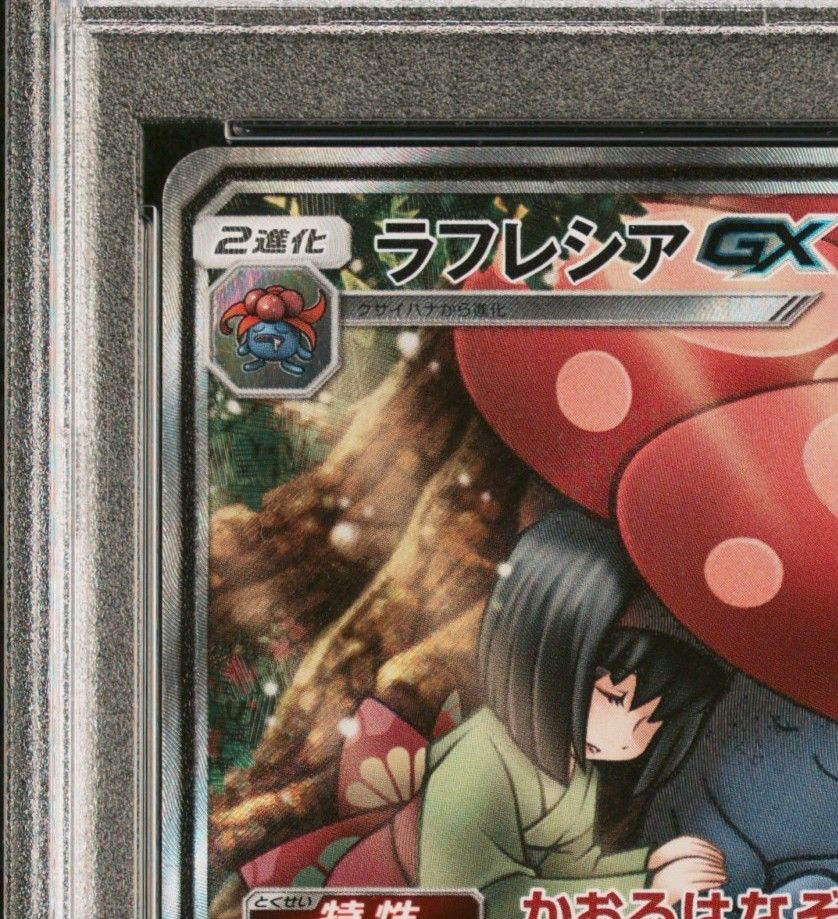 特価品】ラフレシアGX SR PSA10 | noonanwaste.com