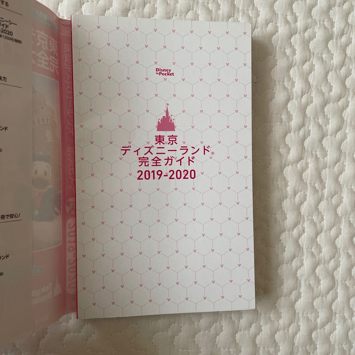 東京ディズニーランド完全ガイド 2019-2020 ディズニー　マップ　 東京ディズニーリゾート 