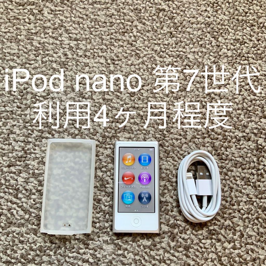 iPod nano 第7世代 16GB Apple アップル A1446 アイポッドナノ 本体